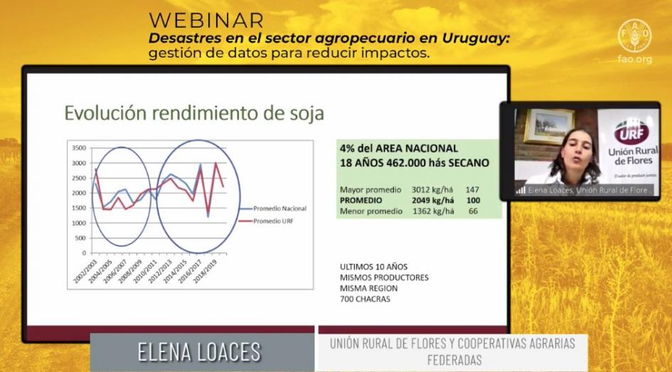 Webinar sobre desastres en el sector agropecuario