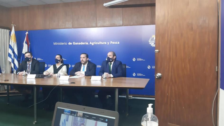 VI reunión de Medidas Sanitarias y Fitosanitarios VI reunión de Medidas Sanitarias y Fitosanitarios