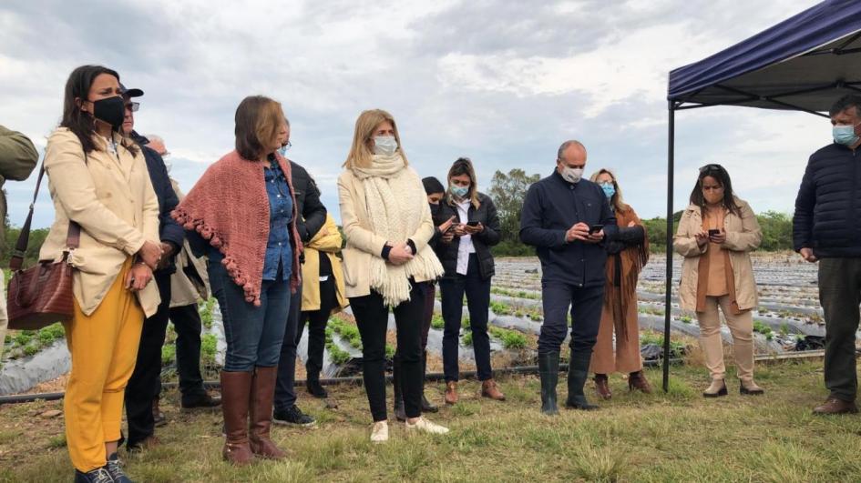 Día Internacional de la Mujer Rural Día Internacional de la Mujer Rural