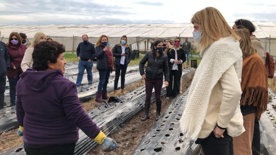 Día Internacional de la Mujer Rural Día Internacional de la Mujer Rural