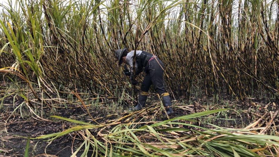 Día Internacional de la Mujer Rural Día Internacional de la Mujer Rural