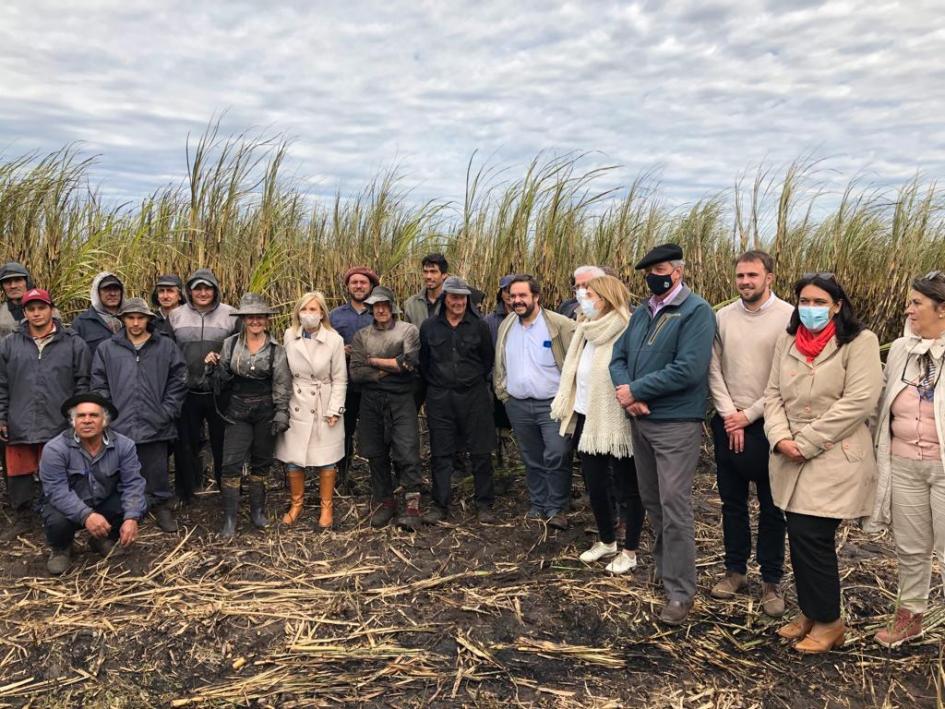 Día Internacional de la Mujer Rural Día Internacional de la Mujer Rural