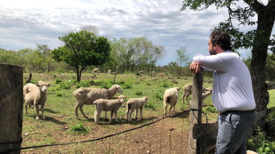Día Internacional de la Mujer Rural Día Internacional de la Mujer Rural