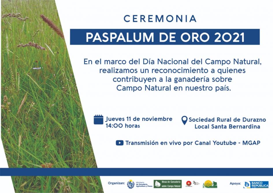 Paspalum de oro