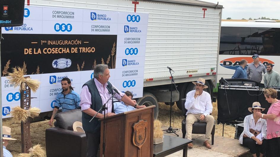 Cosecha del trigo 2021