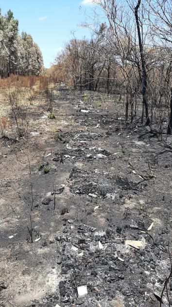 Zona afectada por incendio