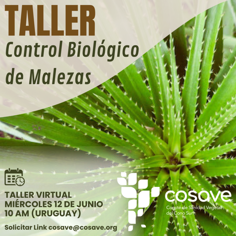 Taller de Control Biologico de Malezas Control Biologico de Malezas