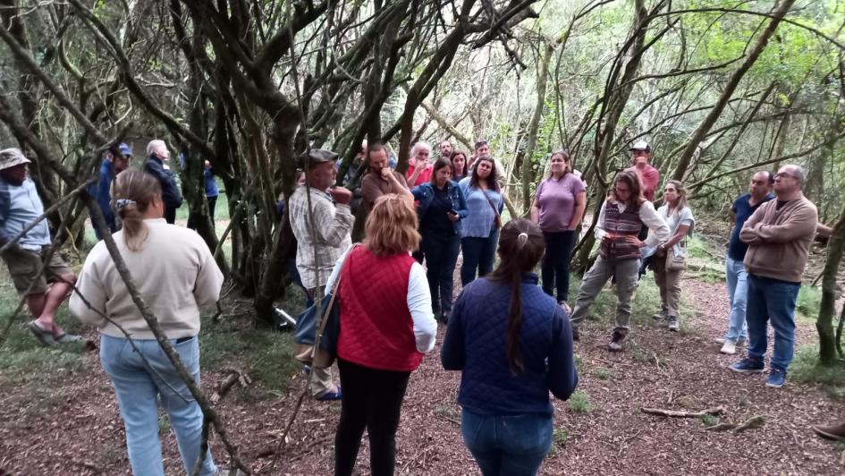ITE bosque nativo maldonado ITE bosque nativo maldonado
