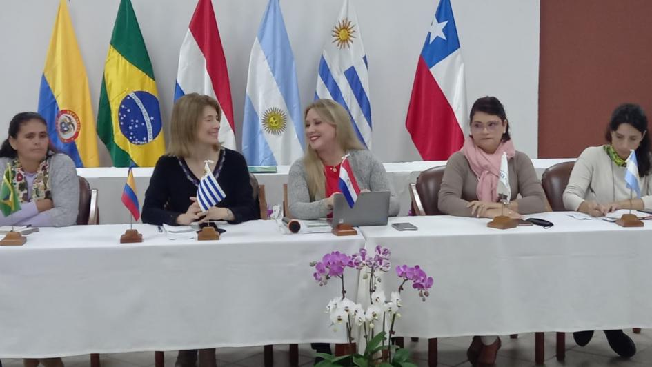 REAF Mercosur Ampliado REAF Mercosur Ampliado