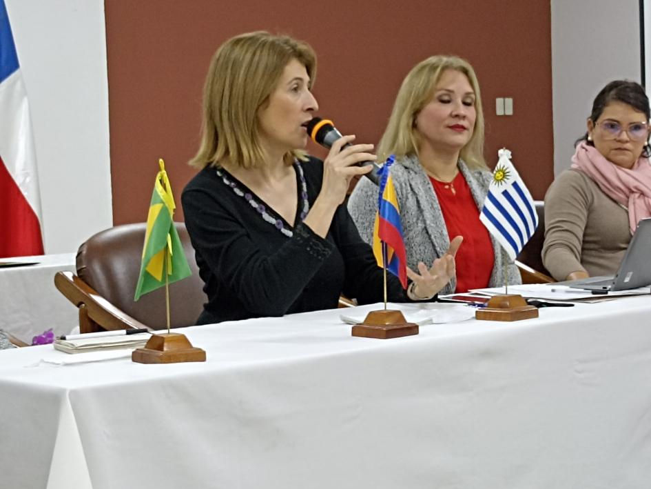 REAF Mercosur Ampliado REAF Mercosur Ampliado