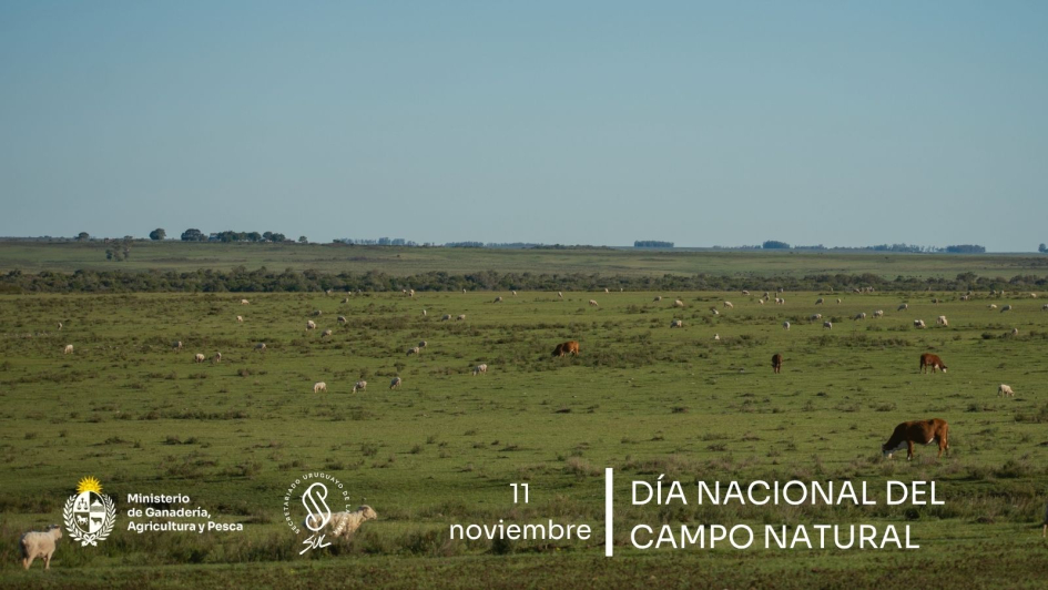 Día Nacional del Campo Natural