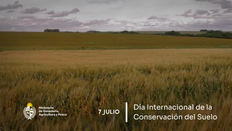 7 de julio – Día Internacional de la Conservación del Suelo 7 de julio – Día Internacional de la Conservación del Suelo