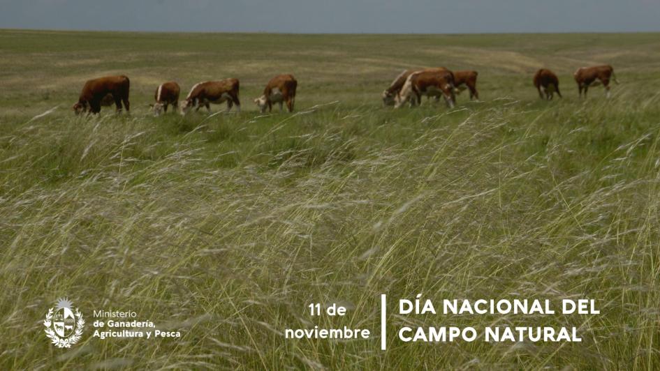 Día Nacional del Campo Natural Día Nacional del Campo Natural