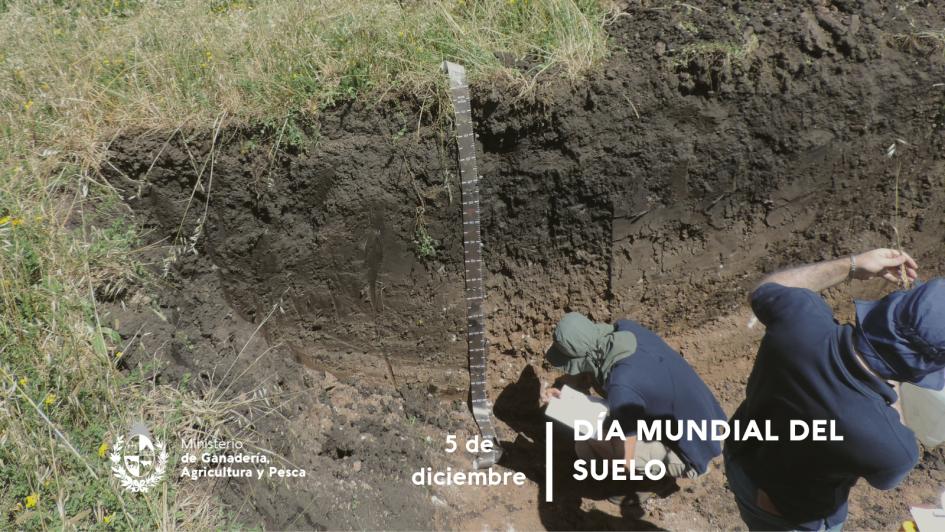 5 diciembre - Día Mundial del suelo 5 diciembre - Día Mundial del suelo