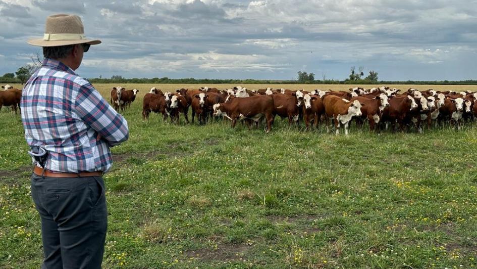 “Riego por fajas en pasturas"