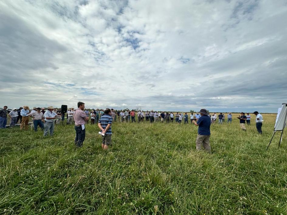 “Riego por fajas en pasturas"