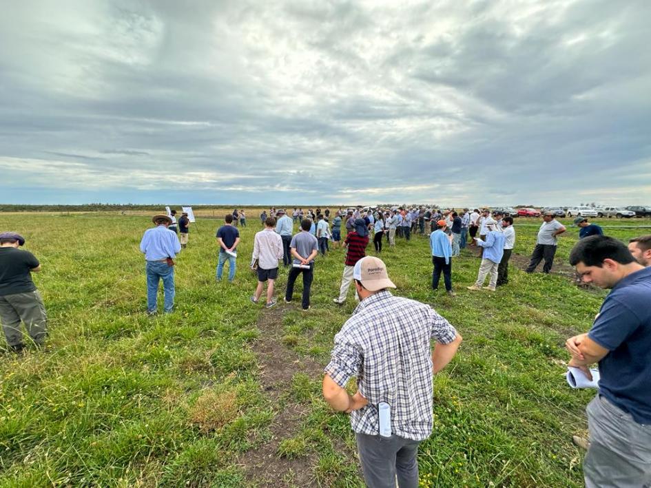 “Riego por fajas en pasturas"