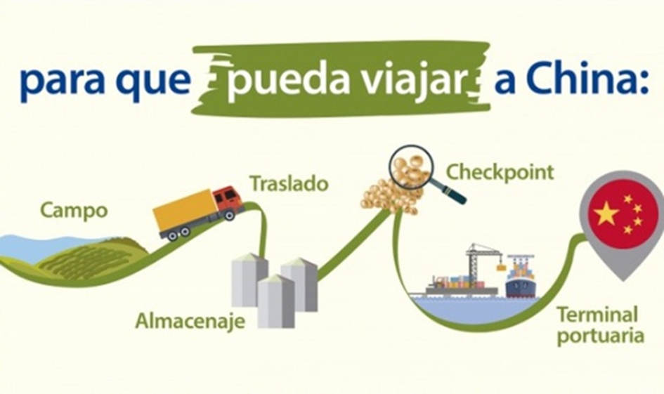 Flujograma exportacion a china Flujo