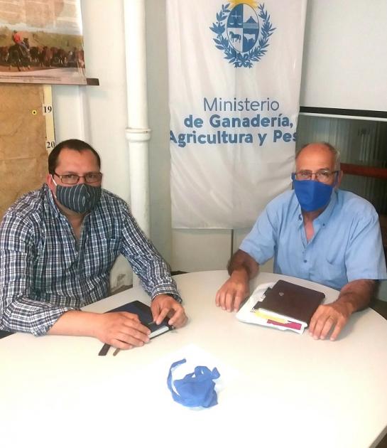 Participantes Participantes