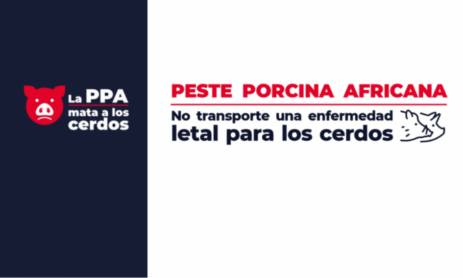 Peste porcina africana Peste porcina africana