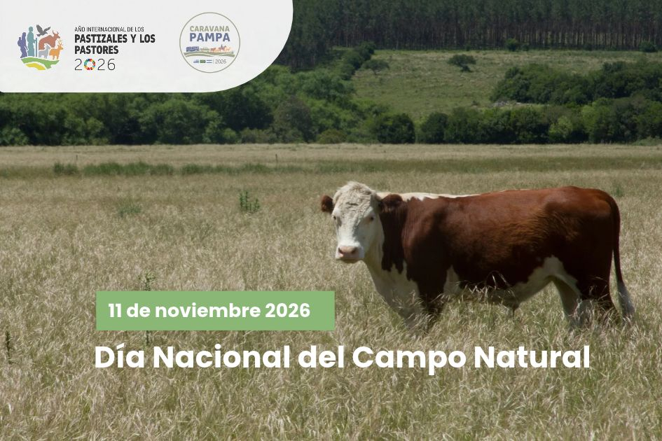 Campo Natural Campo Natural
