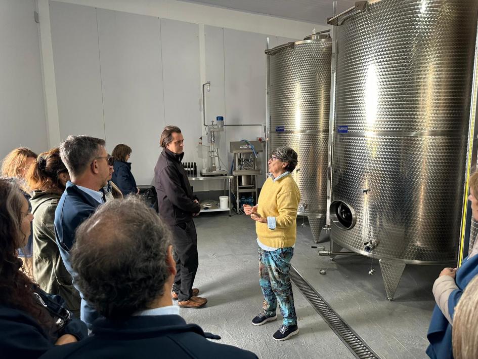 Zafra del olivo Zafra del olivo
