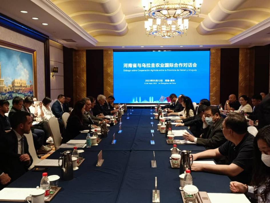 Zhengzhou Zhengzhou