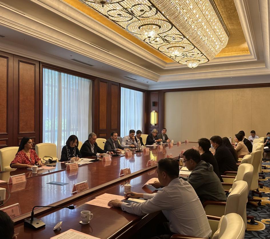 Provincia de Shandong Provincia de Shandong