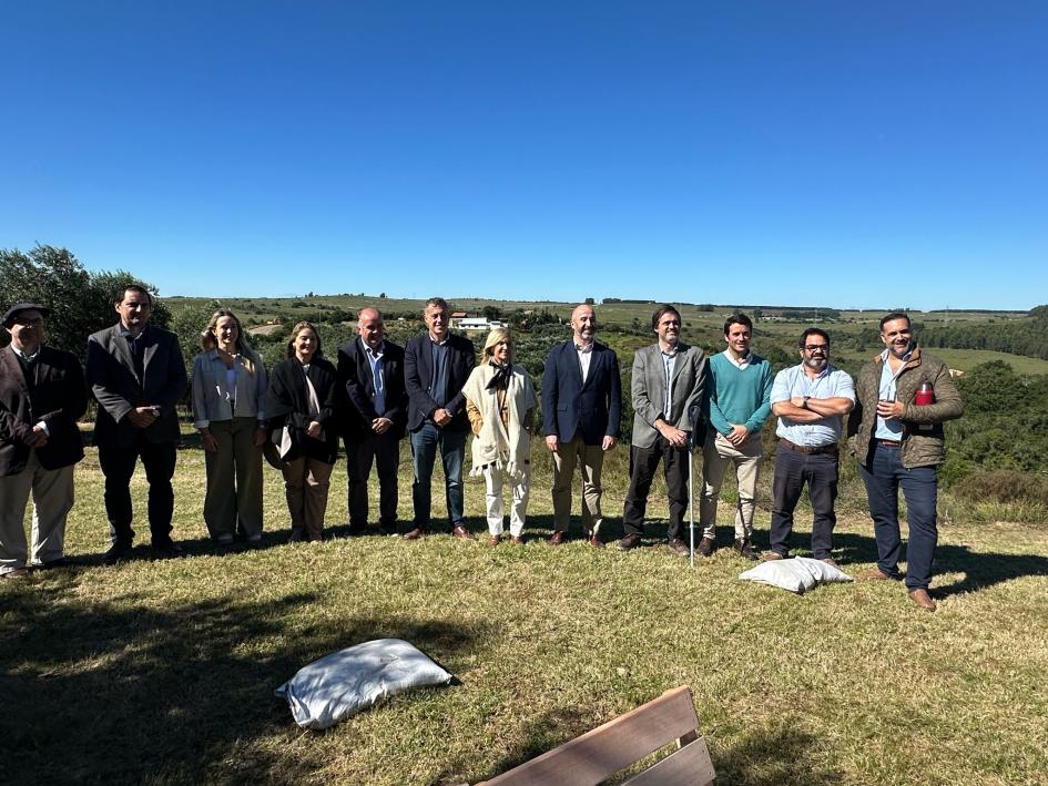 Zafra de olivos Zafra de olivos