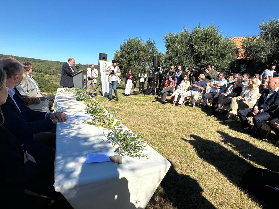 Zafra de olivos Zafra de olivos