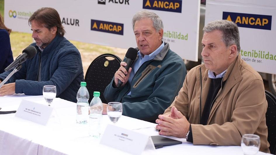Autoridades