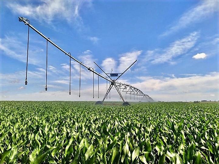 Pivot del área de riego de maíz de La Casilla