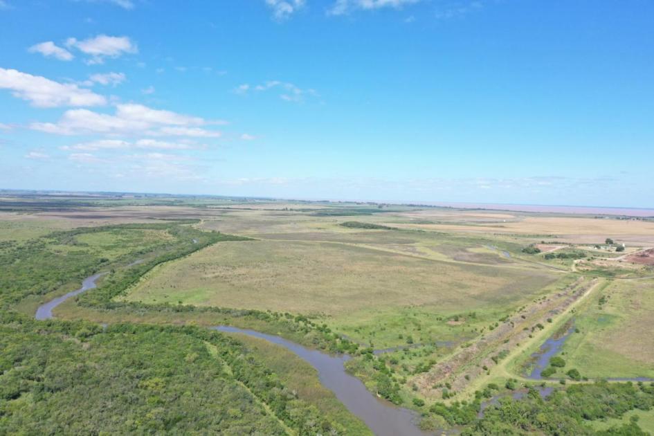 Vista panorámica de bosque nativo