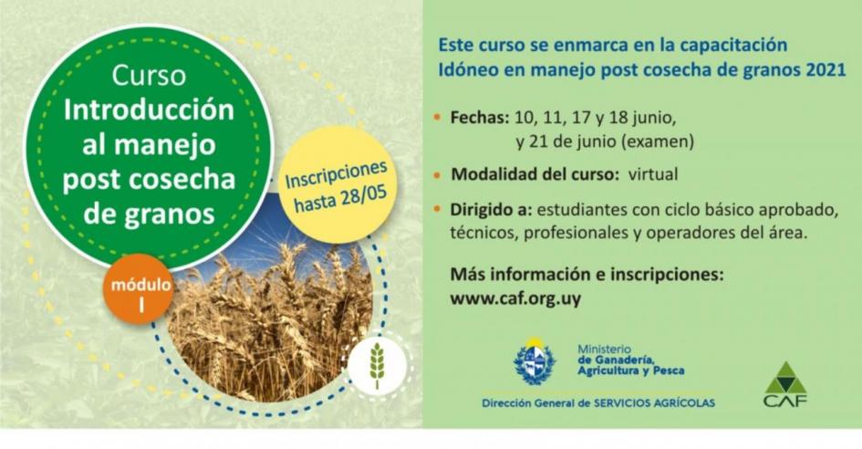 Módulo I Módulo I