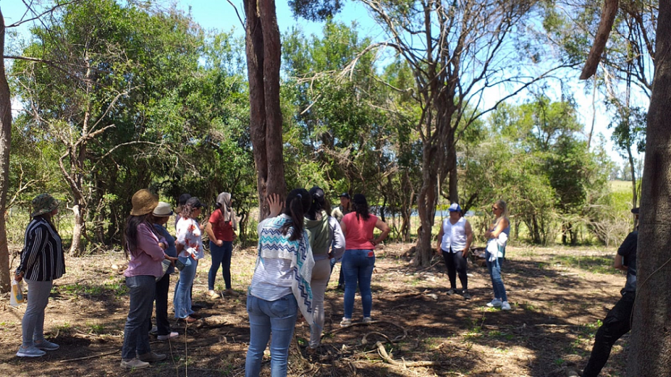 bosque nativo