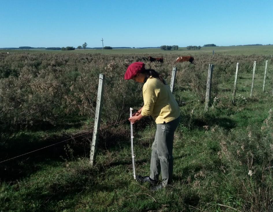 Silvia Lemos productora rural de Tacuarembó Silvia Lemos productora rural de Tacuarembó