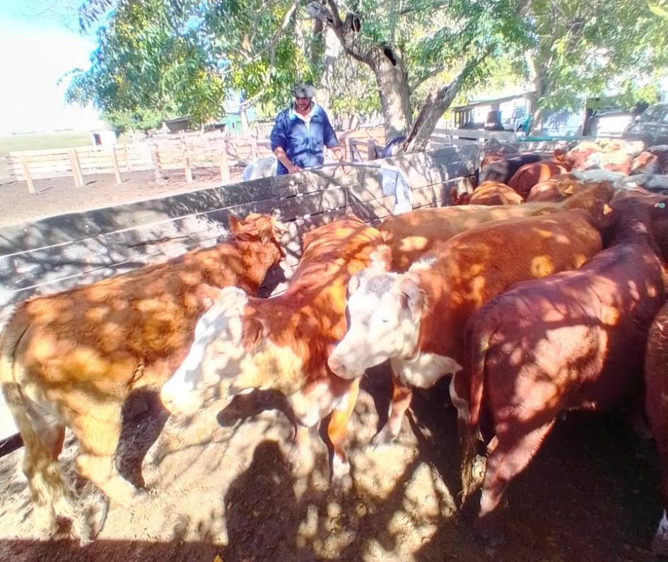Matías Álvarez productor asalariado rural de Florida Matías Álvarez productor asalariado rural de Florida