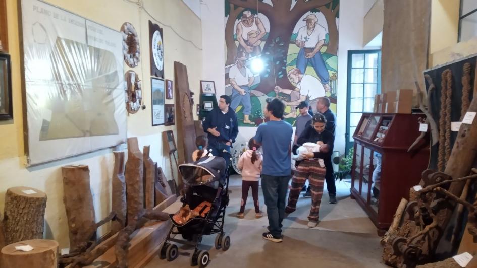 Museo Museo