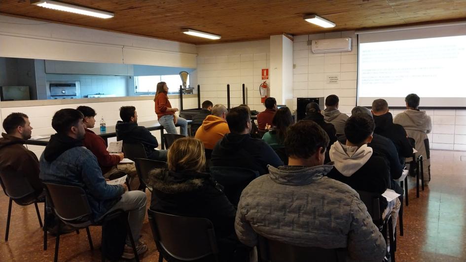 Curso Curso
