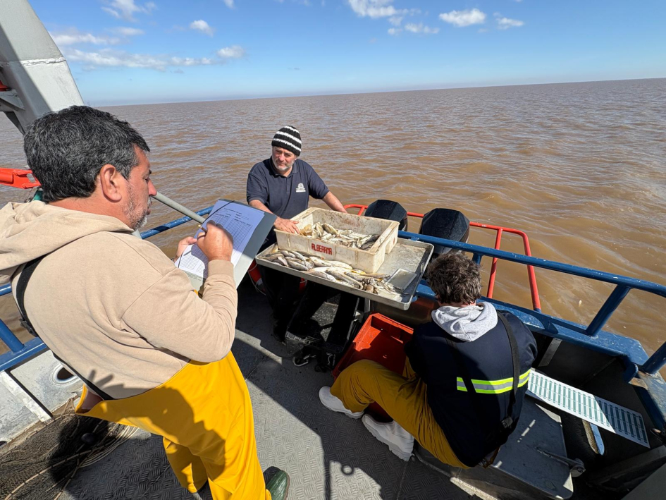 observadores observadores