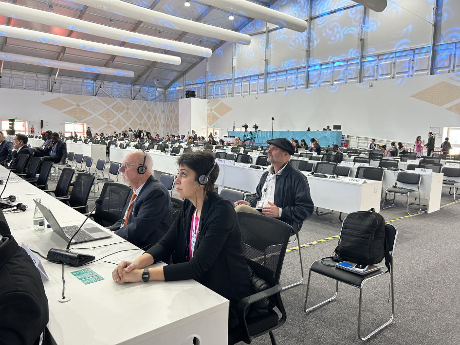 Delegación en la COP 17