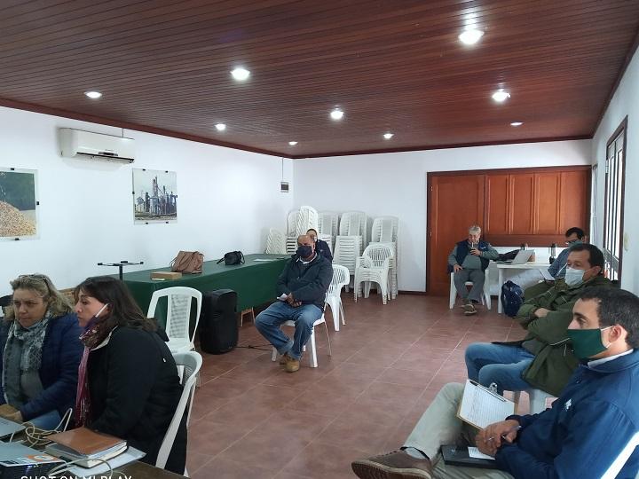 Reuniones presenciales y virtuales Reuniones presenciales y virtuales