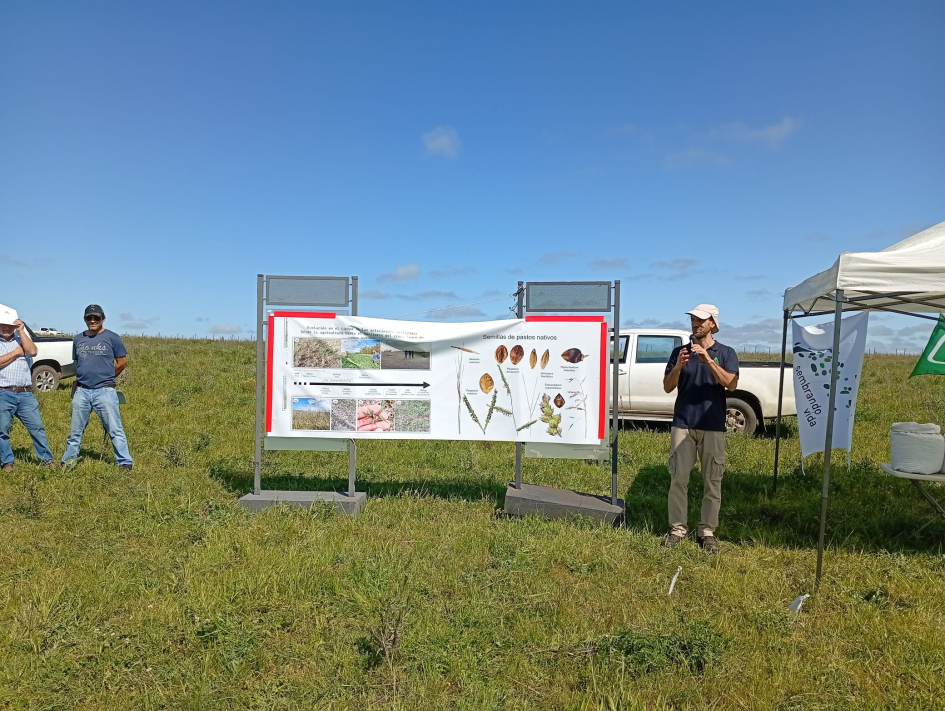 experiencia de reintroducción de especies nativas