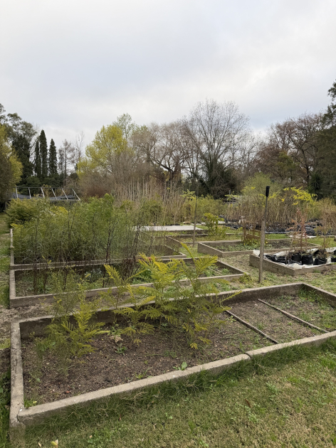 Vivero Vivero