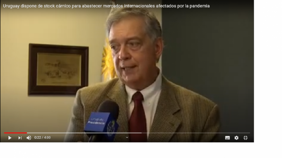 " Fernando Mattos