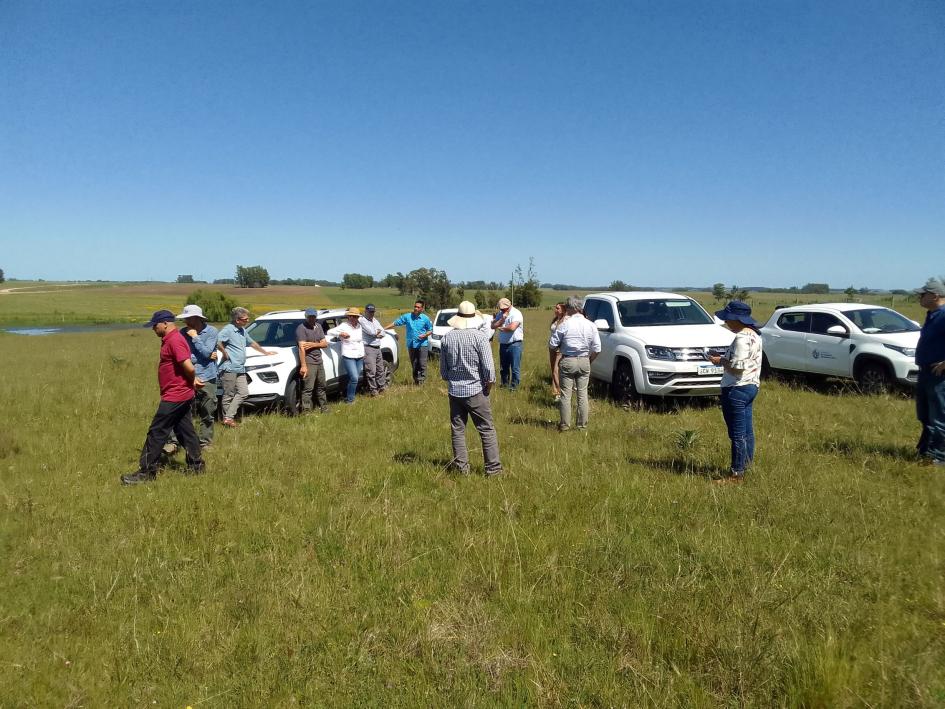 visita a predios proyectos ganaderos visita a predios proyectos ganaderos