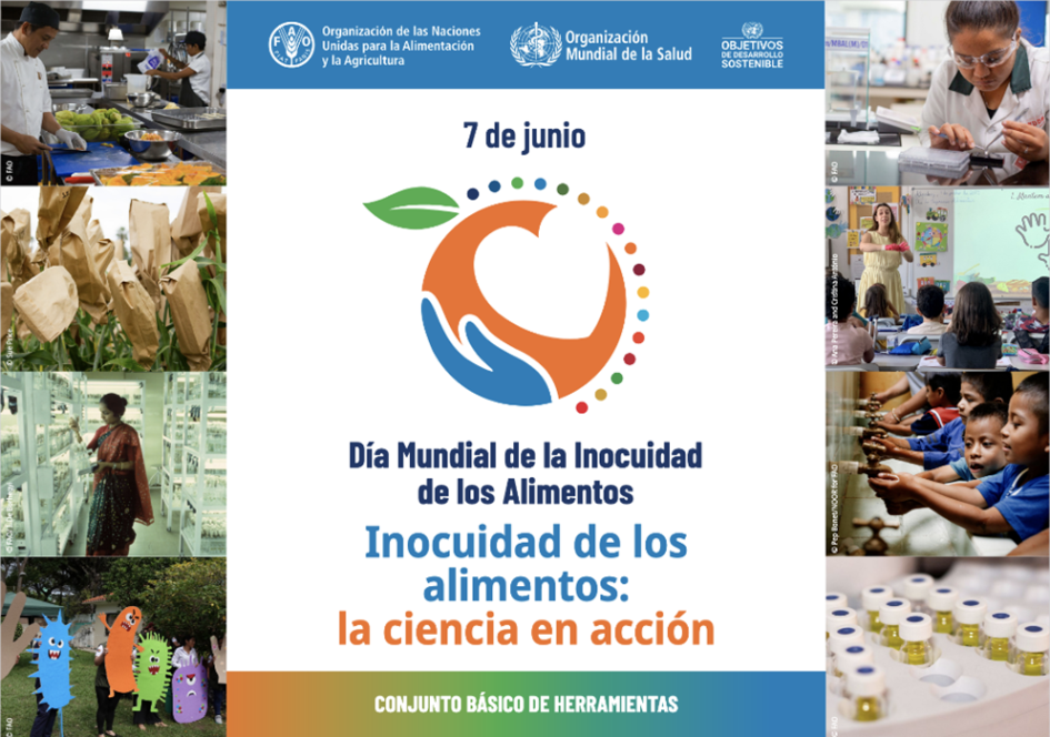 Día Mundial de la Inocuidad de los Alimentos Afiche Día Mundial de la Inocuidad de los Alimentos