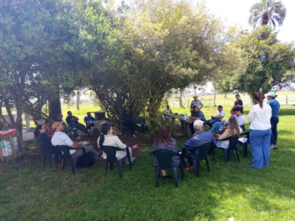 ITE MN Y PB ITE MN Y PB