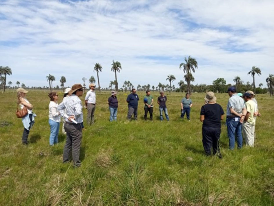 ITE MN Y PB ITE MN Y PB