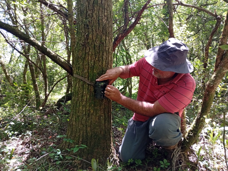 Instalacion camara trampa Instalacion camara trampa